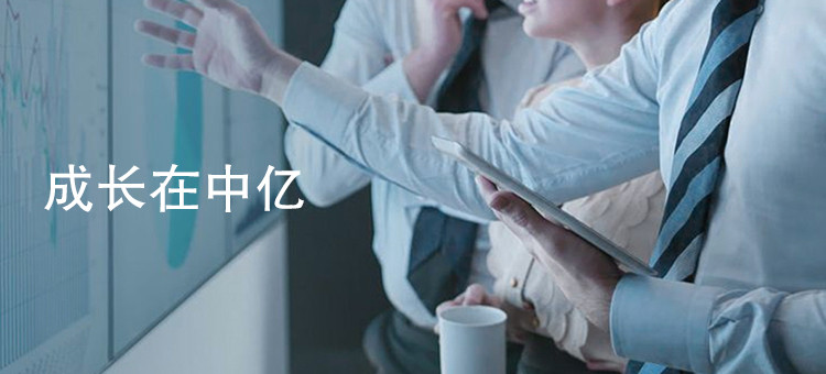 成长在中亿 成长在中亿
